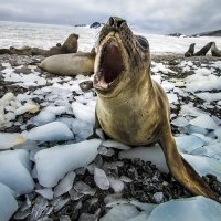 49 - Renato R. Colucci